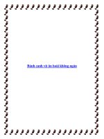 Tài liệu Bánh canh vịt ăn hoài không ngán pot