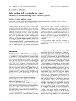 Tài liệu Báo cáo khoa học: Cold survival in freeze-intolerant insects The structure and function of b-helical antifreeze proteins pdf
