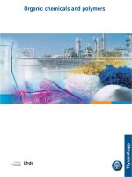 Tài liệu ORGANIC CHEMICALS AND POLYMERS pdf
