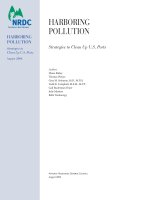 Tài liệu HARBORING POLLUTION: Strategies to Clean Up U.S. Ports doc