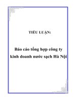 Tài liệu TIỂU LUẬN: Báo cáo tổng hợp công ty kinh doanh nước sạch Hà Nội docx
