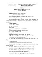 Báo cáo thành tích giáo viên   đảng viên