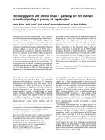 Tài liệu Báo cáo khoa học: The diacylglycerol and protein kinase C pathways are not involved in insulin signalling in primary rat hepatocytes doc