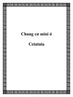Tài liệu Chung cư mini ở Cetatuia doc