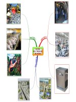 chuyen dich co cau noi bo  nganh kinh te