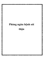 Tài liệu Phòng ngừa bệnh sỏi thận ppt