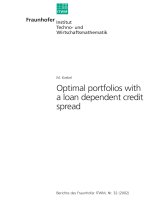 Tài liệu Optimal portfolios with a loan dependent credit spread docx