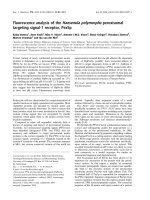 Tài liệu Báo cáo khoa học: Fluorescence analysis of the Hansenula polymorpha peroxisomal targeting signal-1 receptor, Pex5p pdf