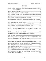 tiến trình hội nhập cept trong quá trình tự do hoá thương mại của việt nam