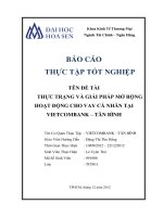 Thực trạng và giải pháp mở rộng hoạt động cho vay cá nhân tại Vietcombank – Tân Bình