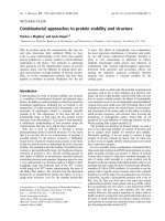 Tài liệu Báo cáo khoa học: Combinatorial approaches to protein stability and structure pdf