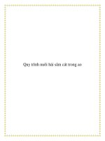 Tài liệu Quy trình nuôi hải sâm cát trong ao doc