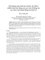 Mô phỏng quá trình lan truyền vật chất ô nhiễm dưới tác động của các yếu tố động lực tại vịnh cam ranh bằng mô hình số