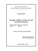 số học trên vành các số nguyên đại số