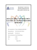 báo cáo thực tập nhận thức công ty cổ phần phân bón bình điền