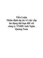 Tiểu Luận Thẩm định dự án về việc cấp tín dụng dài hạn đối với công ty TNHH Ánh Ngân Quảng Nam