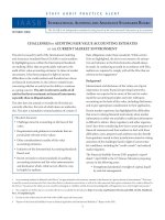 Tài liệu CHALLENGES in AUDiTinG FAiR VALUE ACCOUnTinG ESTiMATES in ThE CURREnT MARKET EnViROnMEnT doc