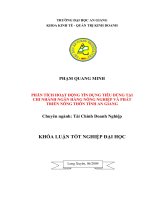 phân tích hoạt động tín dụng tiêu dùng tại chi nhánh ngân hàng nông nghiệp và phát triển nông thôn tỉnh an giang