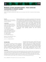 Tài liệu Báo cáo khoa học: Multisite protein phosphorylation – from molecular mechanisms to kinetic models pdf