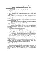 Su dung phan mem envi nan chinh anh spot