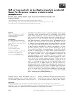 Tài liệu Báo cáo khoa học: Cell surface nucleolin on developing muscle is a potential ligand for the axonal receptor protein tyrosine phosphatase-r ppt