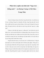 Tài liệu Phân tích ý nghĩa của hình ảnh 