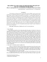 Tài liệu Ảnh hưởng của thời vụ gieo cấy đến khả năng sản xuất hạt lúa lai F1 tổ hợp bồi tạp Sơn Thanh docx
