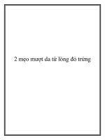 Tài liệu 2 mẹo mượt da từ lòng đỏ trứng pdf
