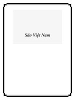 Tài liệu Sáo Việt Nam pot