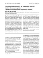 Tài liệu Báo cáo khoa học: The conformational stability of the Streptomyces coelicolor histidine-phosphocarrier protein Characterization of cold denaturation and urea–protein interactions doc