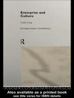 Tài liệu Enterprise and Culture: Routledge Studies in Small Business doc