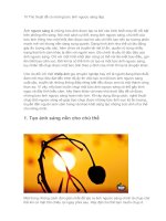 10 thủ thuật để có những bức ảnh ngược sáng đẹp