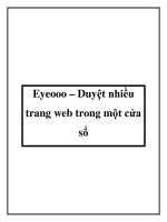 Tài liệu Eyeooo – Duyệt nhiều trang web trong một cửa sổ pot