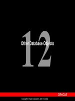 Tài liệu Other Database Objects docx