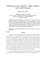 Ảnh hưởng của hóa chất bảo vệ thực vật đến vi sinh vật đất trồng chè