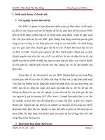 Luận văn Chuyển giá tại MNCs