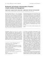 Tài liệu Báo cáo khoa học: Biochemical and molecular characterization of hazelnut (Corylus avellana) seed lipoxygenases pdf