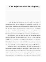 Tài liệu Cảm nhận đoạn trích Hai cây phong ppt