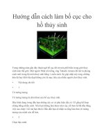 Tài liệu Hướng dẫn cách làm bố cục cho hồ thủy sinh pptx