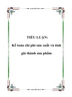 Tài liệu TIỂU LUẬN: Kế toán chi phí sản xuất và tính giá thành sản phẩm pptx