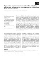 Tài liệu Báo cáo khoa học: Aggregative organization enhances the DNA end-joining process that is mediated by DNA-dependent protein kinase pdf