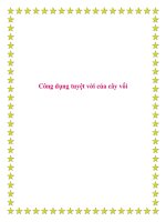 Tài liệu Công dụng tuyệt vời của cây vối pdf
