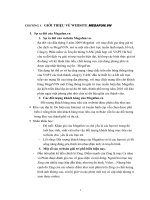 giới thiệu về website megafun.vn