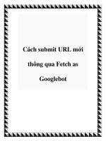 Tài liệu Cách submit URL mới thông qua Fetch as Googlebot ppt