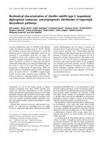 Tài liệu Báo cáo khoa học: Biochemical characterization of Bacillus subtilis type II isopentenyl diphosphate isomerase, and phylogenetic distribution of isoprenoid biosynthesis pathways doc