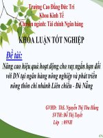 Tài liệu Đề tài: Nâng cao hiệu quả hoạt động cho vay ngắn hạn đối với DN tại ngân hàng nông nghiệp và phát triển nông thôn chi nhánh Liên chiểu - Đà Nẵng doc