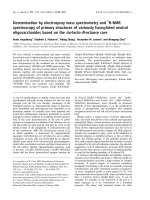 Tài liệu Báo cáo khóa học: Determination by electrospray mass spectrometry and 1H-NMR spectroscopy of primary structures of variously fucosylated neutral oligosaccharides based on the iso-lacto-N-octaose core doc