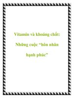 Tài liệu Vitamin và khoáng chất: Những cuộc “hôn nhân hạnh phúc” pot