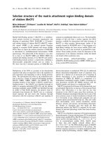 Tài liệu Báo cáo khoa học: Solution structure of the matrix attachment region-binding domain of chicken MeCP2 ppt