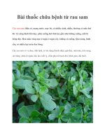 Tài liệu Bài thuốc chữa bệnh từ rau sam doc